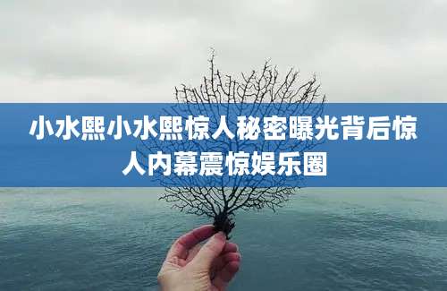 小水熙小水熙惊人秘密曝光背后惊人内幕震惊娱乐圈