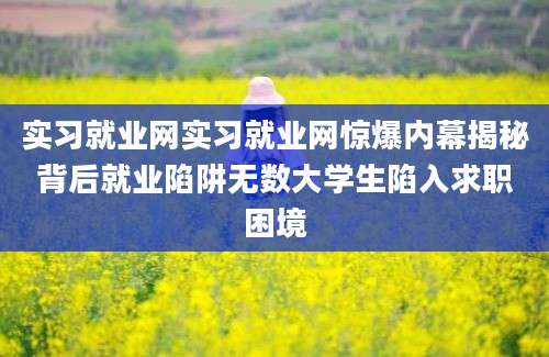 实习就业网实习就业网惊爆内幕揭秘背后就业陷阱无数大学生陷入求职困境