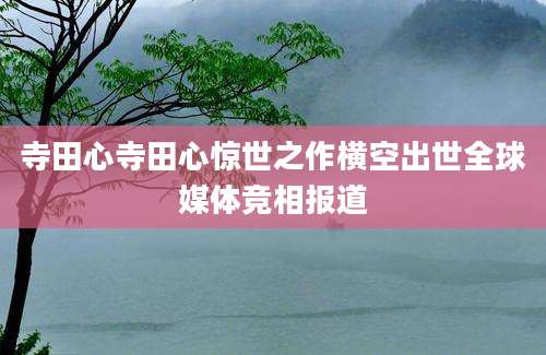 寺田心寺田心惊世之作横空出世全球媒体竞相报道