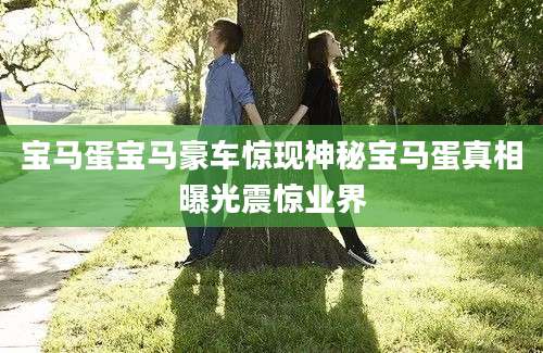 宝马蛋宝马豪车惊现神秘宝马蛋真相曝光震惊业界