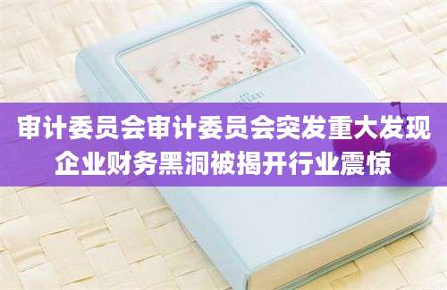 审计委员会审计委员会突发重大发现企业财务黑洞被揭开行业震惊