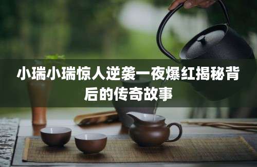 小瑞小瑞惊人逆袭一夜爆红揭秘背后的传奇故事