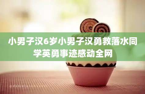 小男子汉6岁小男子汉勇救落水同学英勇事迹感动全网