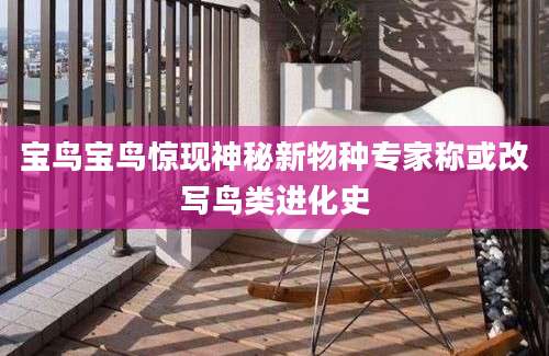 宝鸟宝鸟惊现神秘新物种专家称或改写鸟类进化史