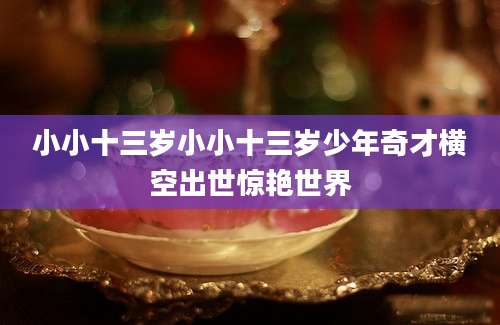 小小十三岁小小十三岁少年奇才横空出世惊艳世界