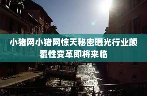 小猪网小猪网惊天秘密曝光行业颠覆性变革即将来临