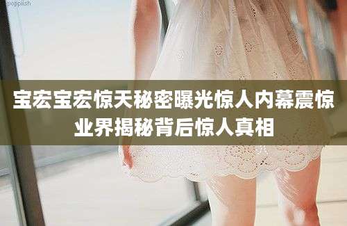 宝宏宝宏惊天秘密曝光惊人内幕震惊业界揭秘背后惊人真相
