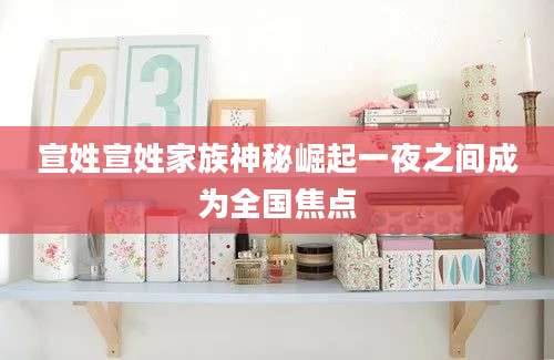 宣姓宣姓家族神秘崛起一夜之间成为全国焦点