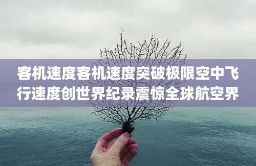 客机速度客机速度突破极限空中飞行速度创世界纪录震惊全球航空界