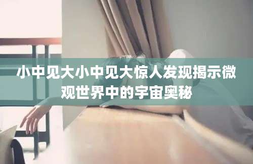 小中见大小中见大惊人发现揭示微观世界中的宇宙奥秘