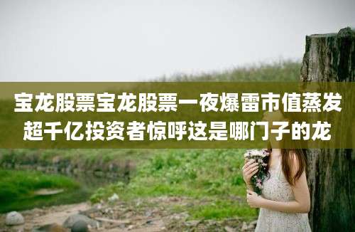 宝龙股票宝龙股票一夜爆雷市值蒸发超千亿投资者惊呼这是哪门子的龙