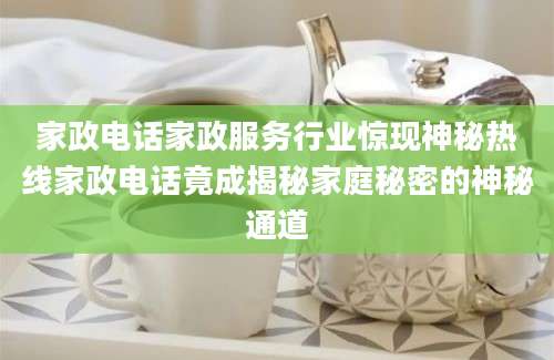 家政电话家政服务行业惊现神秘热线家政电话竟成揭秘家庭秘密的神秘通道