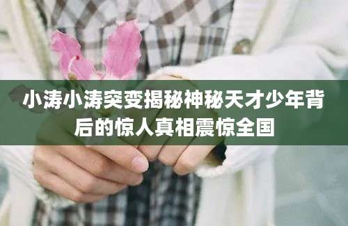 小涛小涛突变揭秘神秘天才少年背后的惊人真相震惊全国