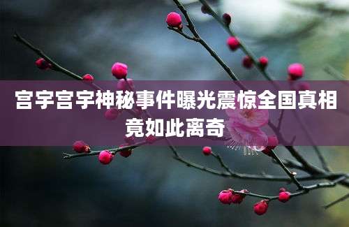 宫宇宫宇神秘事件曝光震惊全国真相竟如此离奇