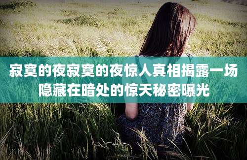 寂寞的夜寂寞的夜惊人真相揭露一场隐藏在暗处的惊天秘密曝光