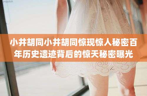 小井胡同小井胡同惊现惊人秘密百年历史遗迹背后的惊天秘密曝光