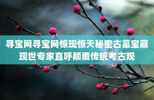 寻宝网寻宝网惊现惊天秘密古墓宝藏现世专家直呼颠覆传统考古观