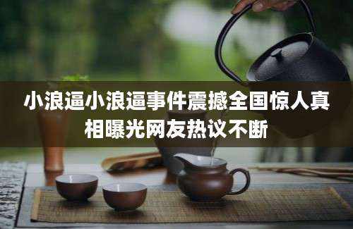 小浪逼小浪逼事件震撼全国惊人真相曝光网友热议不断