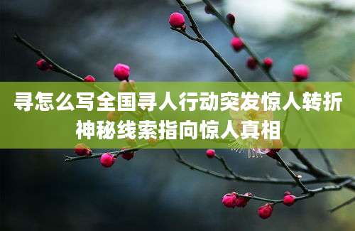 寻怎么写全国寻人行动突发惊人转折神秘线索指向惊人真相