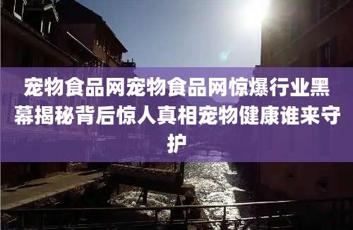 宠物食品网宠物食品网惊爆行业黑幕揭秘背后惊人真相宠物健康谁来守护
