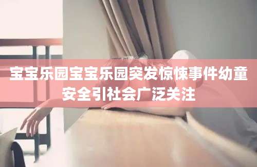 宝宝乐园宝宝乐园突发惊悚事件幼童安全引社会广泛关注