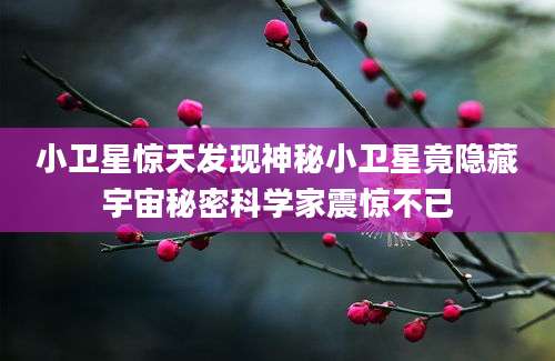 小卫星惊天发现神秘小卫星竟隐藏宇宙秘密科学家震惊不已