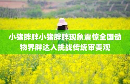 小猪胖胖小猪胖胖现象震惊全国动物界胖达人挑战传统审美观