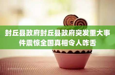 封丘县政府封丘县政府突发重大事件震惊全国真相令人咋舌