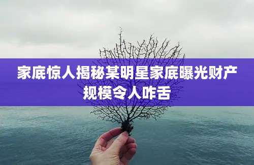 家底惊人揭秘某明星家底曝光财产规模令人咋舌