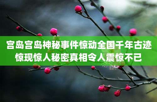 宫岛宫岛神秘事件惊动全国千年古迹惊现惊人秘密真相令人震惊不已