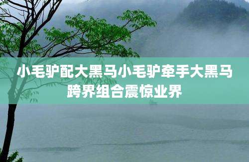 小毛驴配大黑马小毛驴牵手大黑马跨界组合震惊业界