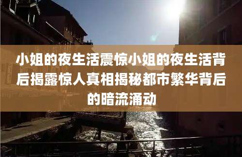 小姐的夜生活震惊小姐的夜生活背后揭露惊人真相揭秘都市繁华背后的暗流涌动