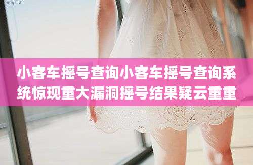 小客车摇号查询小客车摇号查询系统惊现重大漏洞摇号结果疑云重重