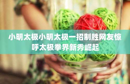 小明太极小明太极一招制胜网友惊呼太极拳界新秀崛起