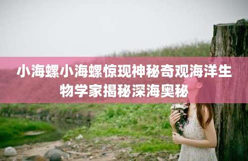 小海螺小海螺惊现神秘奇观海洋生物学家揭秘深海奥秘