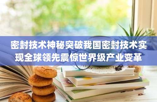 密封技术神秘突破我国密封技术实现全球领先震惊世界级产业变革