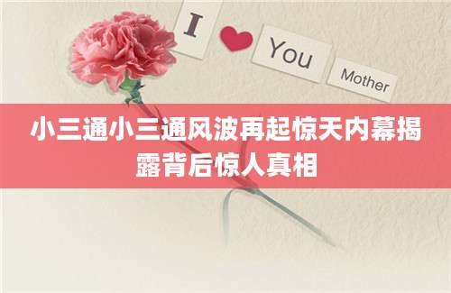 小三通小三通风波再起惊天内幕揭露背后惊人真相