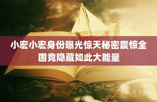 小宏小宏身份曝光惊天秘密震惊全国竟隐藏如此大能量