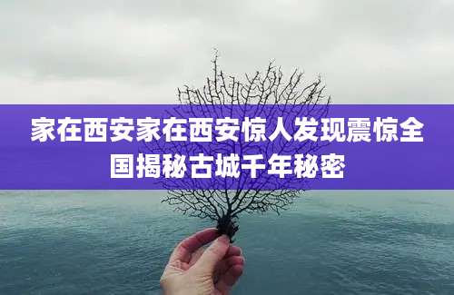家在西安家在西安惊人发现震惊全国揭秘古城千年秘密
