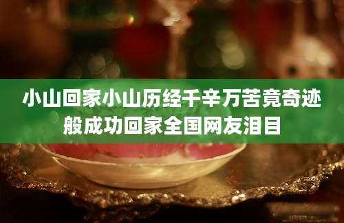 小山回家小山历经千辛万苦竟奇迹般成功回家全国网友泪目