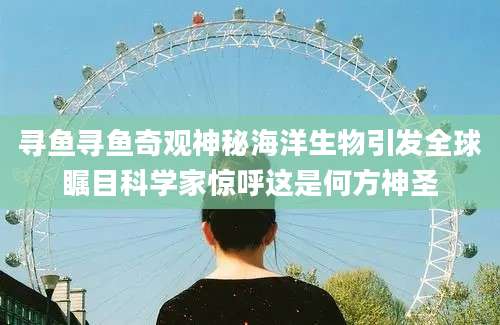 寻鱼寻鱼奇观神秘海洋生物引发全球瞩目科学家惊呼这是何方神圣