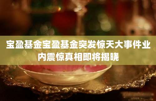 宝盈基金宝盈基金突发惊天大事件业内震惊真相即将揭晓