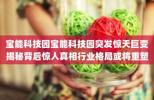宝能科技园宝能科技园突发惊天巨变揭秘背后惊人真相行业格局或将重塑