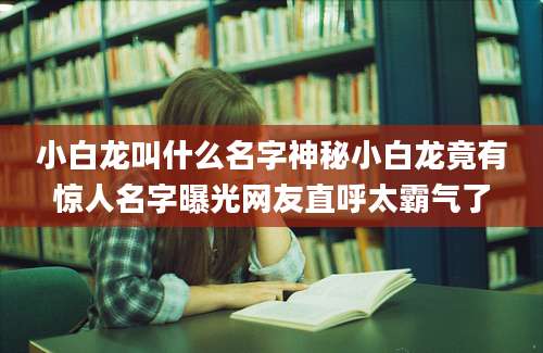 小白龙叫什么名字神秘小白龙竟有惊人名字曝光网友直呼太霸气了