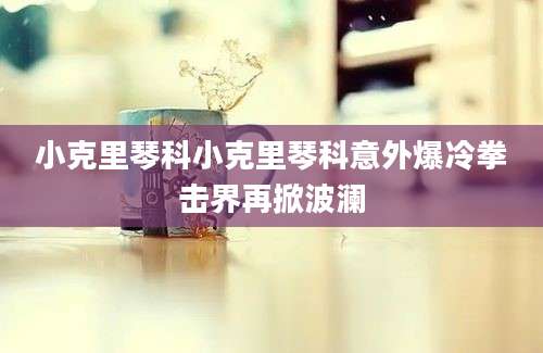 小克里琴科小克里琴科意外爆冷拳击界再掀波澜