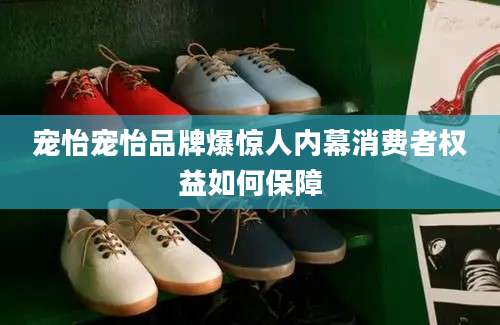 宠怡宠怡品牌爆惊人内幕消费者权益如何保障