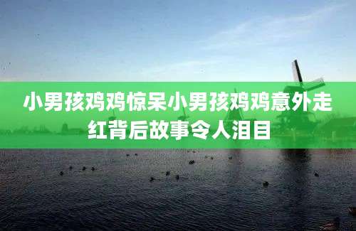 小男孩鸡鸡惊呆小男孩鸡鸡意外走红背后故事令人泪目