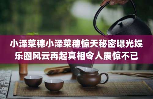 小泽菜穗小泽菜穗惊天秘密曝光娱乐圈风云再起真相令人震惊不已