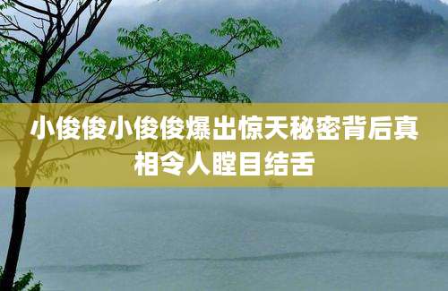 小俊俊小俊俊爆出惊天秘密背后真相令人瞠目结舌
