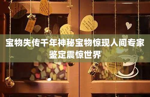 宝物失传千年神秘宝物惊现人间专家鉴定震惊世界